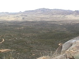 PM View 2006A.