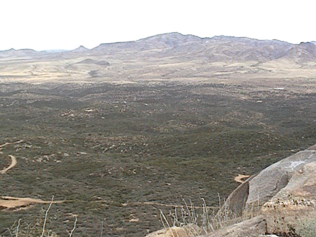 PM View 2006A.