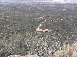 PM View 2006B