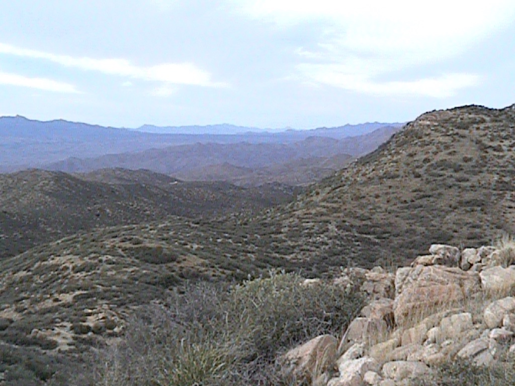 PM View 2006C
