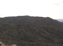 PM View 2006F