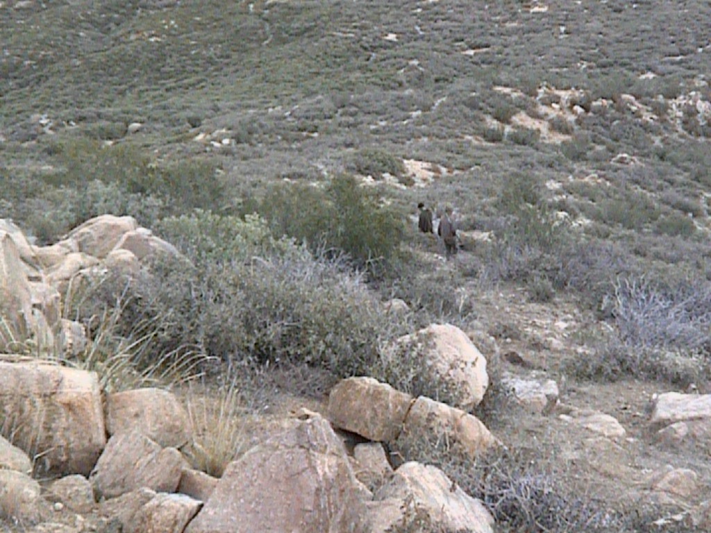 PM View 2006G